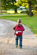 boy with a red backpack goes on the road