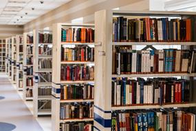 rows of the book shelves