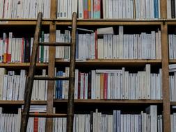 ladder near the shelves with books