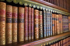 beautiful old books on the shelf