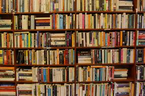 library shelving with books