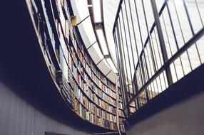 Library Bookshelf and window