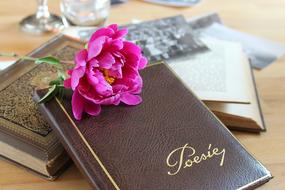 Poetry Album Book