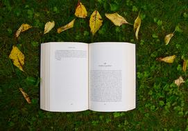 Book Reading green grass