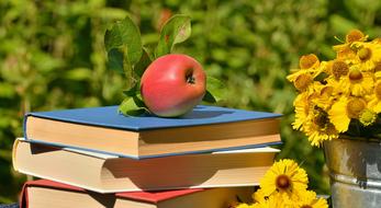 Apple and Books Garden