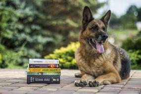 book pile and German shepherd