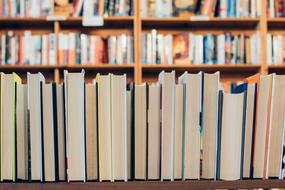 photo of books on a shelf in the school library