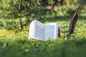 Book Pen green grass