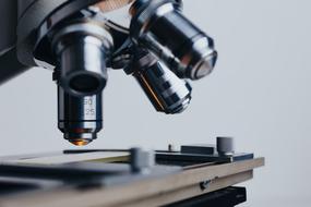 Analysis microscope