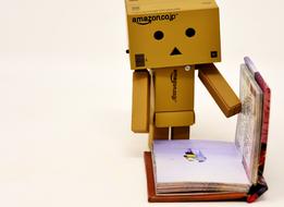 photo of Danbo reading a book