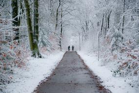 Bike Path in the park in winter