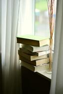 Books Stack window