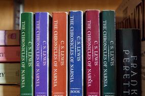 photo of a series of books on a shelf