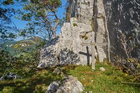 Cross Mountain and trees