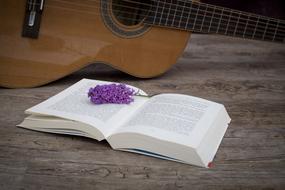 lilac lies on an open book next to a guitar