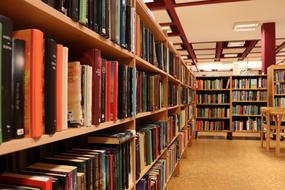 Library room bookshelf