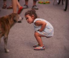 Child Cute and dog