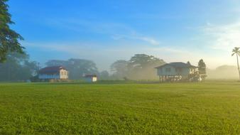 Agriculture Farm fog