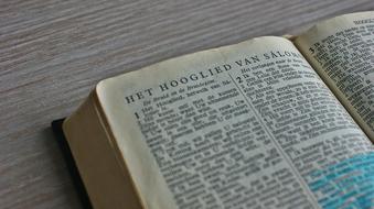 Song Of Songs Love \