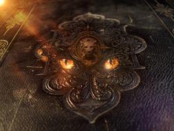 Book Old Leather mystical face