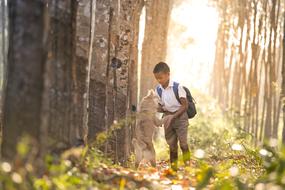 dark skin School boy plays with Dog outdoor