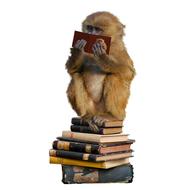 monkey sits with open book at face on stack of old books