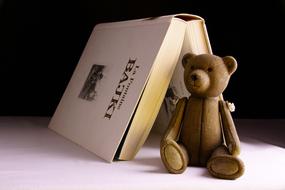 teddy bear on the background of an open book