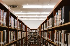 many books on the shelves in the room