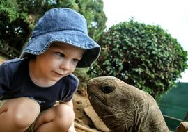 small Boy in hat and Turtle near the plants