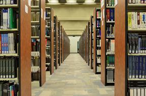 Library bookshelves