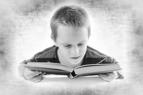 Read Book Boy monochrome