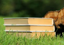 Books Reading Study and gren grass