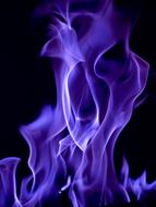 purple flames on the black background