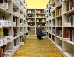 Girl Library Books shelves