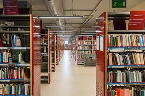 Shelf Library, jan kochanowski unive