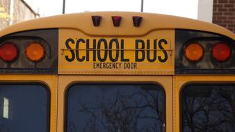 school bus roof photo