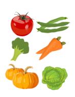 vegetables food group drawing