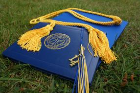 blue graduate hat on a green lawn