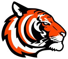 painted tiger profile
