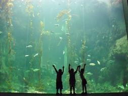 happy children near a huge aquarium