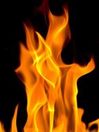 Flames Flickering