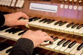 photo of the musician's hands on the organ