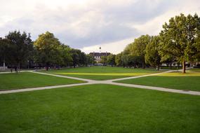 Campus of University of Illinois at summer, usa, Urbana-Champaign