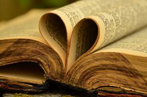 Book Bible Old pages
