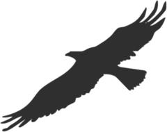 diagonal black silhouette of an eagle