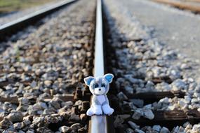 cute stuffed toy on the railway