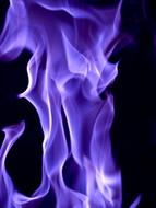 purple Flame at black background