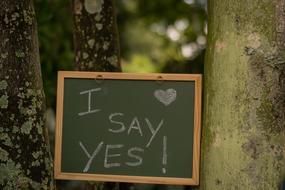 i say yes drawing