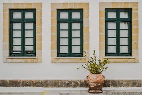 potted plant in front of a school building in Paralimni, Cyprus