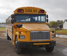 nice School Bus yellow